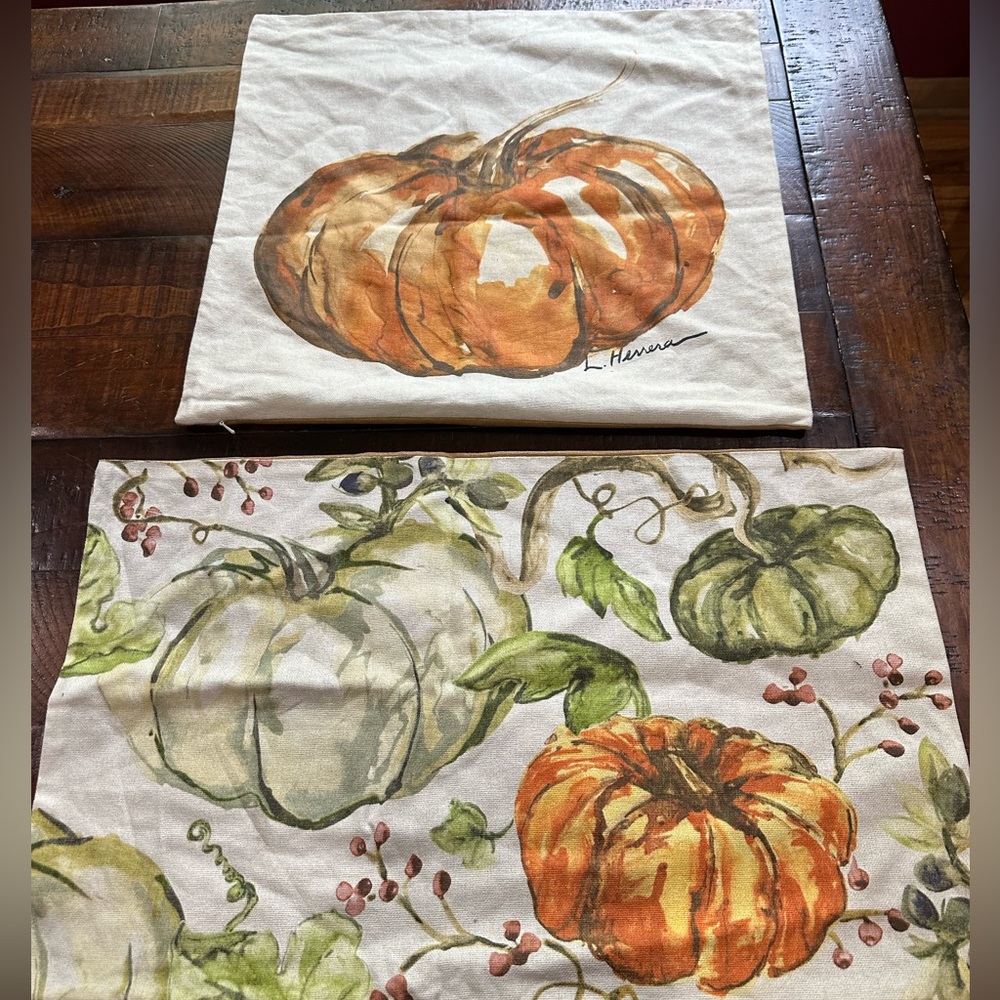 Pottery Barn Pumpkin Accent Pillows